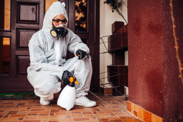Attic and Crawl Space Rodent Treatment in North Pole